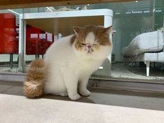 -长生鱼·鲜鱼房(U城店)
