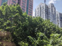 -麦当劳(宝山大厦店)