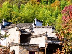 -塔川景区