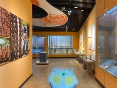 -迪庆藏族自治州博物馆