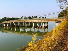 景点-大湾区中央湿地公园