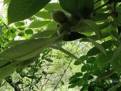 -碓臼峪自然风景区