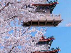 -鸡鸣寺