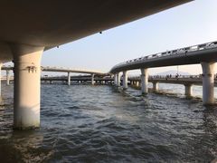 -演武大桥观景平台