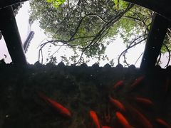 -不倒翁·徽天下名菜楼(马鞍山路店)