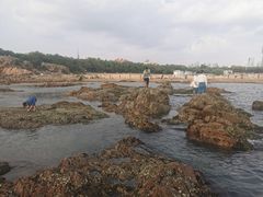 -青岛金沙滩