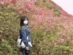 -木兰云雾山