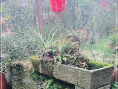 -青城甲(青城山店)