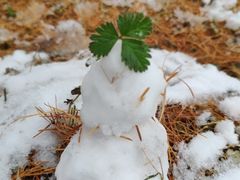 -硗碛藏寨·神木垒景区