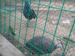 -武汉紫薇都市田园