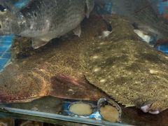 -和源祥·日照菜扛把子(万平口一店)