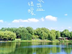 -北坞公园