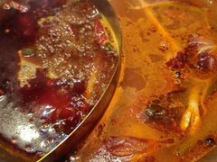 -由衷贵州酸汤牛肉火锅(新桥店)