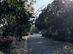 -莫干山风景区