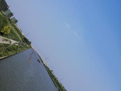 -南汇新场正宗水蜜桃采摘