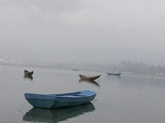 -盐洲岛