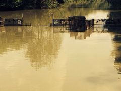 溱湖国家湿地公园-溱湖国家湿地公园