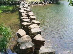 -紫霞湖公园