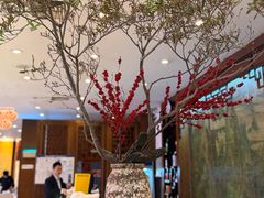 -眉州东坡(亚运村店)