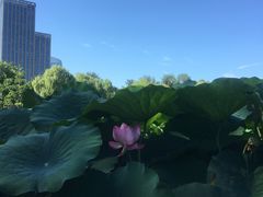 -西海子公园