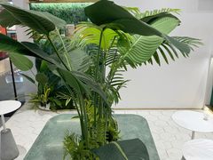 -KOI PLUS(成都万象城店)