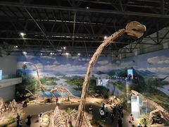 -自贡恐龙博物馆