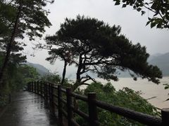 -羚羊峡古栈道森林公园