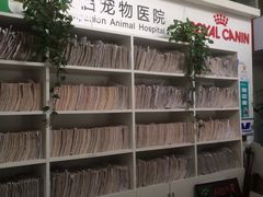-爱侣宠医·鹦鹉专科·小型哺乳类·异宠专科(灵石路店)