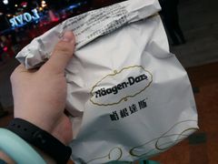 -哈根达斯(天河城店)