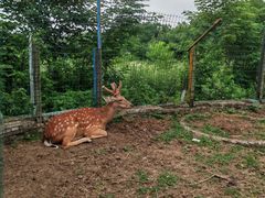 -武汉紫薇都市田园