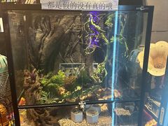 -夜幕浸入式超级密室(望京店)