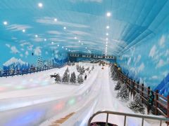 -世界之窗阿尔卑斯冰雪世界