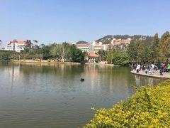 -厦门大学(思明校区)