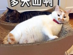 -吾悦广场(南京鼓楼店)