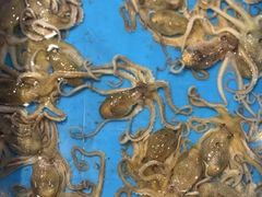 -龙宴海鲜城(经中路店)