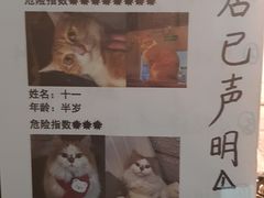 -逃脱反斗城沉浸剧情密室(北京路店)