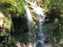 -莫里热带雨林景区