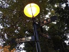 -三鹰之森吉卜力美术馆