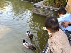 -南宁荔园维景国际酒店·荔园中餐厅