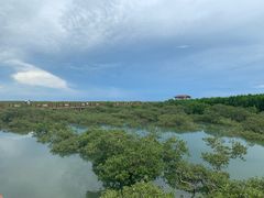 -北海金海湾红树林生态旅游区