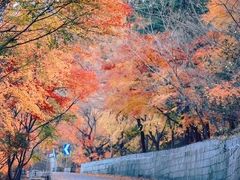 -崂山巨峰游览区