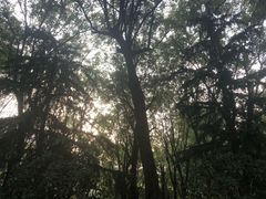 -唐城墙遗址公园