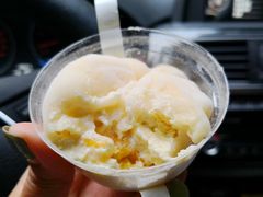 -蜜蜂小象·榴莲千层蛋糕(时代汇11栋店)