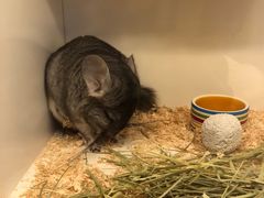 -龙猫仔乐园(惠福东路店)