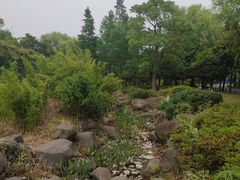 -宝界山林公园