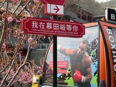 -翼松楼餐厅