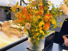 -BLACKSWAN黑天鹅(环球店)