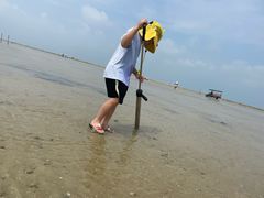 -红树林天天赶海