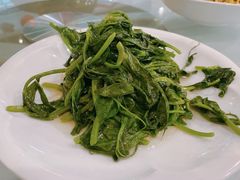 银杏豌豆尖-眉州东坡(华联万柳店)