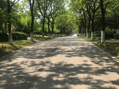 -白塘生态植物园